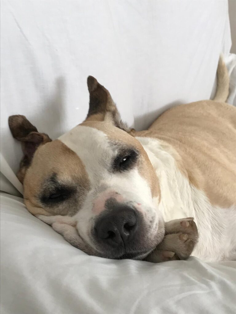 PHOTO-2025-10-23-19-59-19 (2)