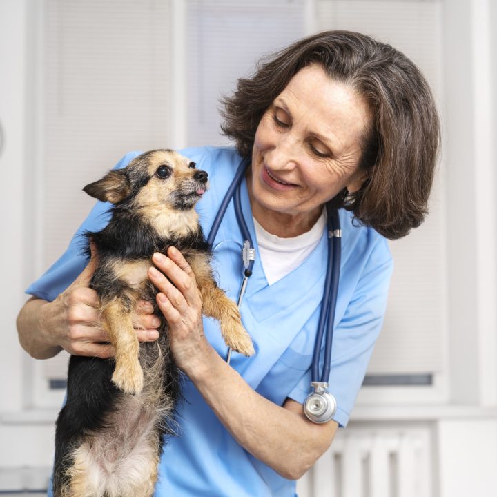 acercamiento-al-medico-veterinario-cuidando-la-mascota